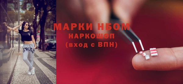 прущие грибы Армянск